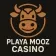 Playamo Casino